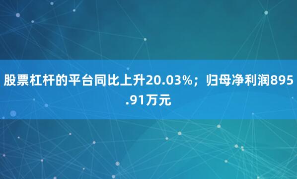 股票杠杆的平台同比上升20.03%;归母净利润895.91万元