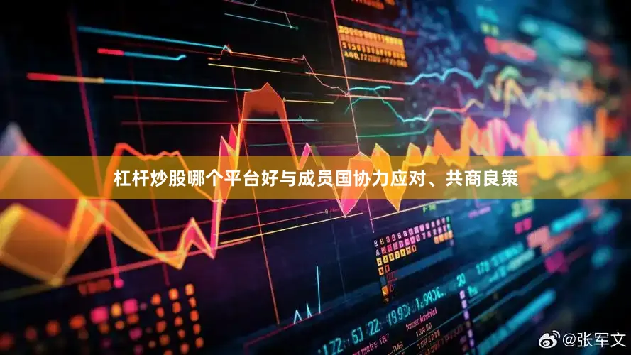 杠杆炒股哪个平台好与成员国协力应对、共商良策